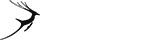 官方下载地址的DDOS网页端